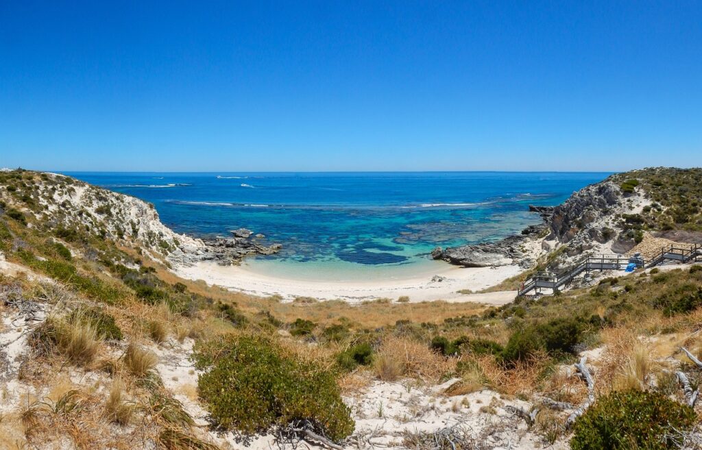 rottnest island, rottnest, wadjemup, west australia, wa, western australia, australia, sea, island, beach, bay, panorama, sea bay, nature, landscape, coast, ocean, sand, water, blue sea, summer, wooden track, bushland, bush, reef, corals, rottnest island, rottnest island, rottnest island, rottnest, rottnest, rottnest, rottnest, rottnest, western australia, western australia, bushland