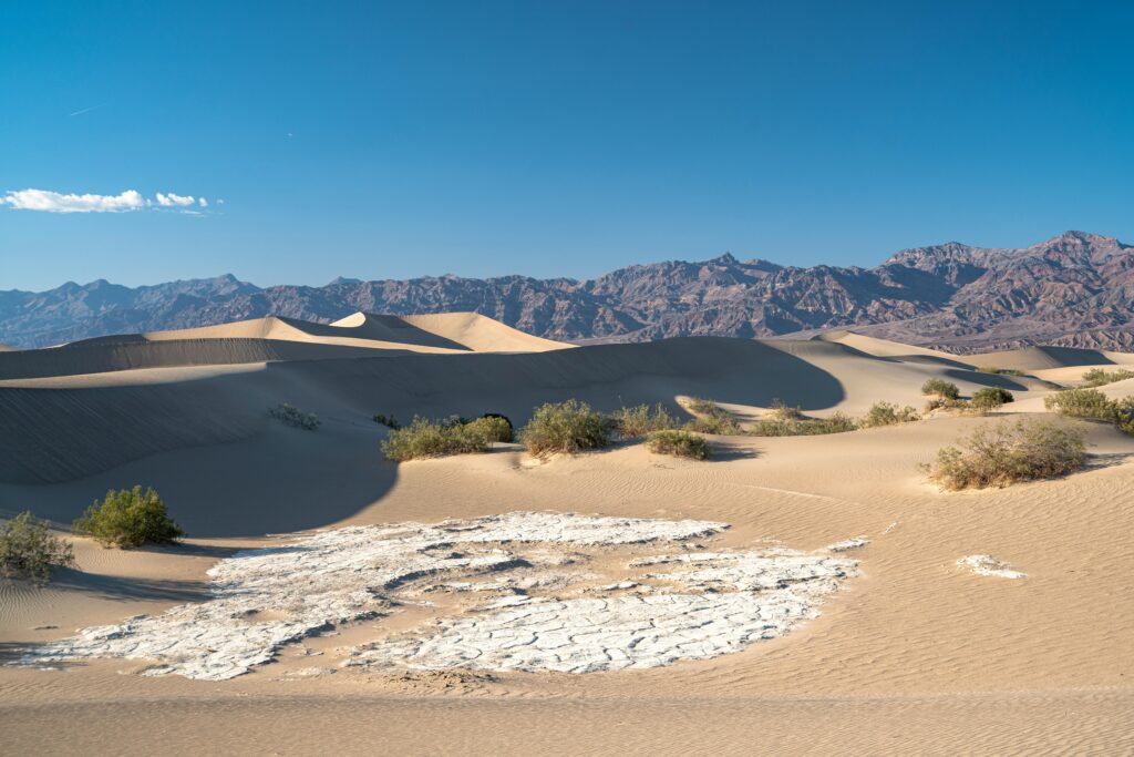 Explore the breathtaking sand dunes of Death Valley under a clear, blue sky, showcasing a serene desert scene.